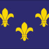 Image Fleur-De-Lis (3 Flower Blue) Flag