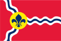 Image City of St Louis Flag Printed